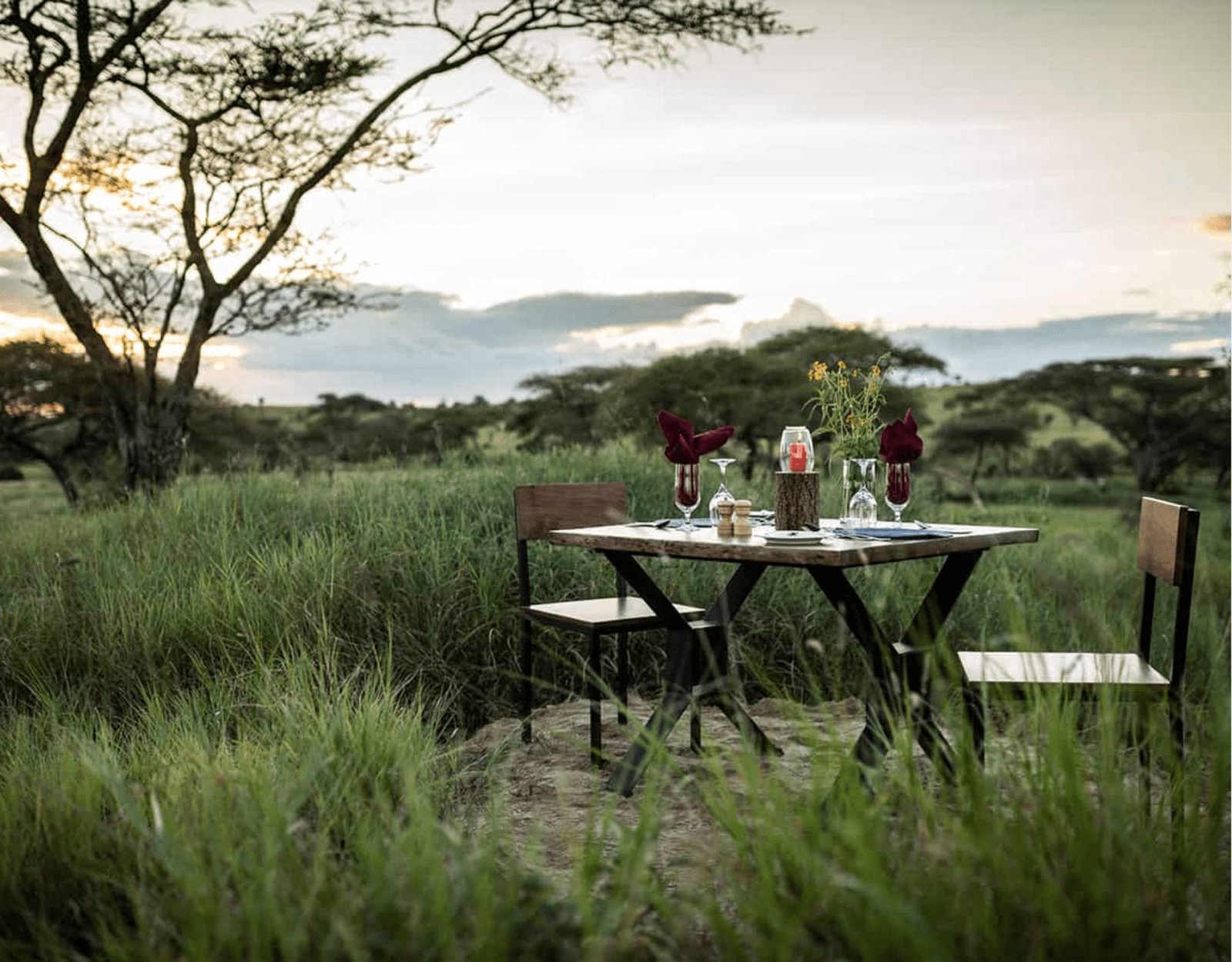 Mbalageti Safari Camp - view 2