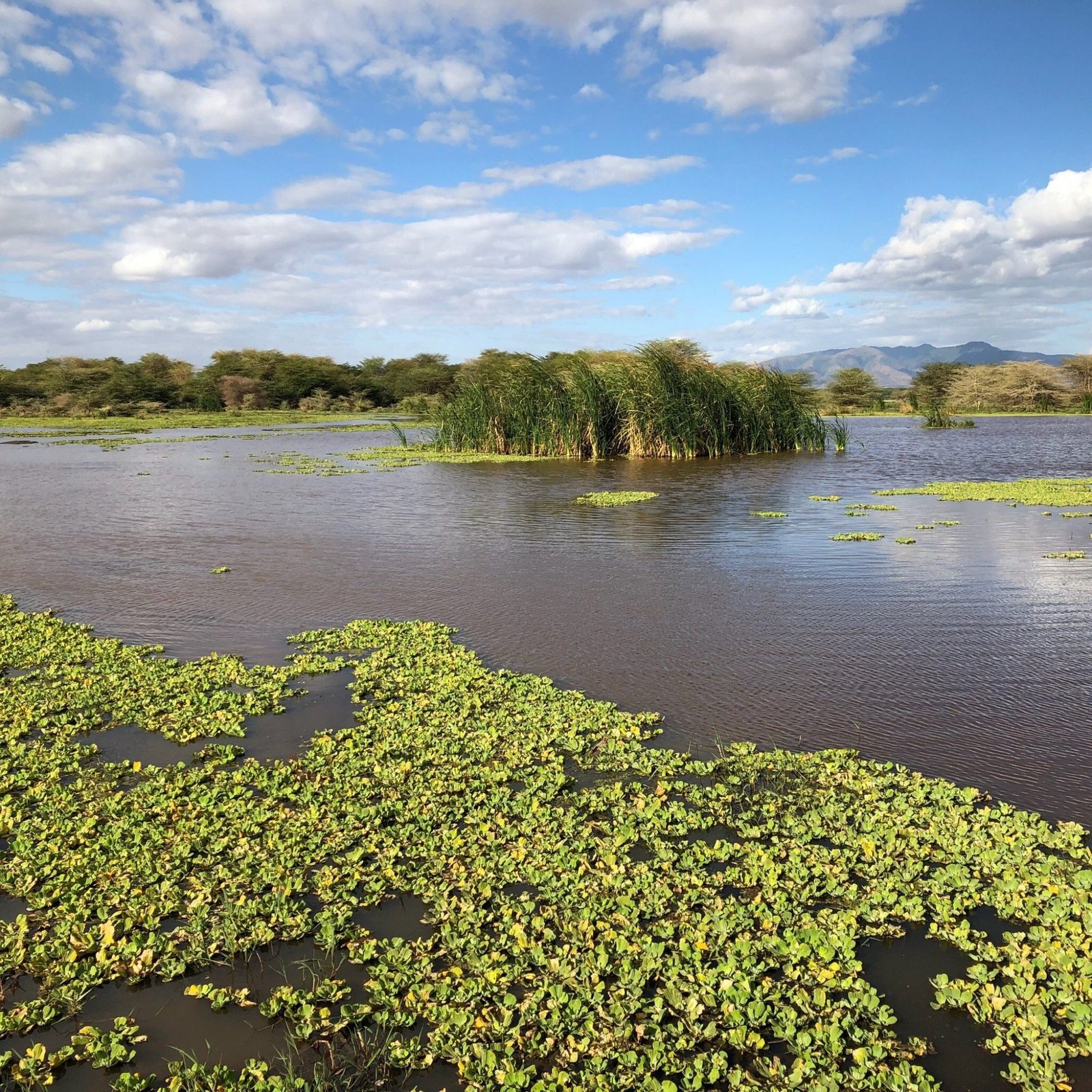 Migunga Tented Camp