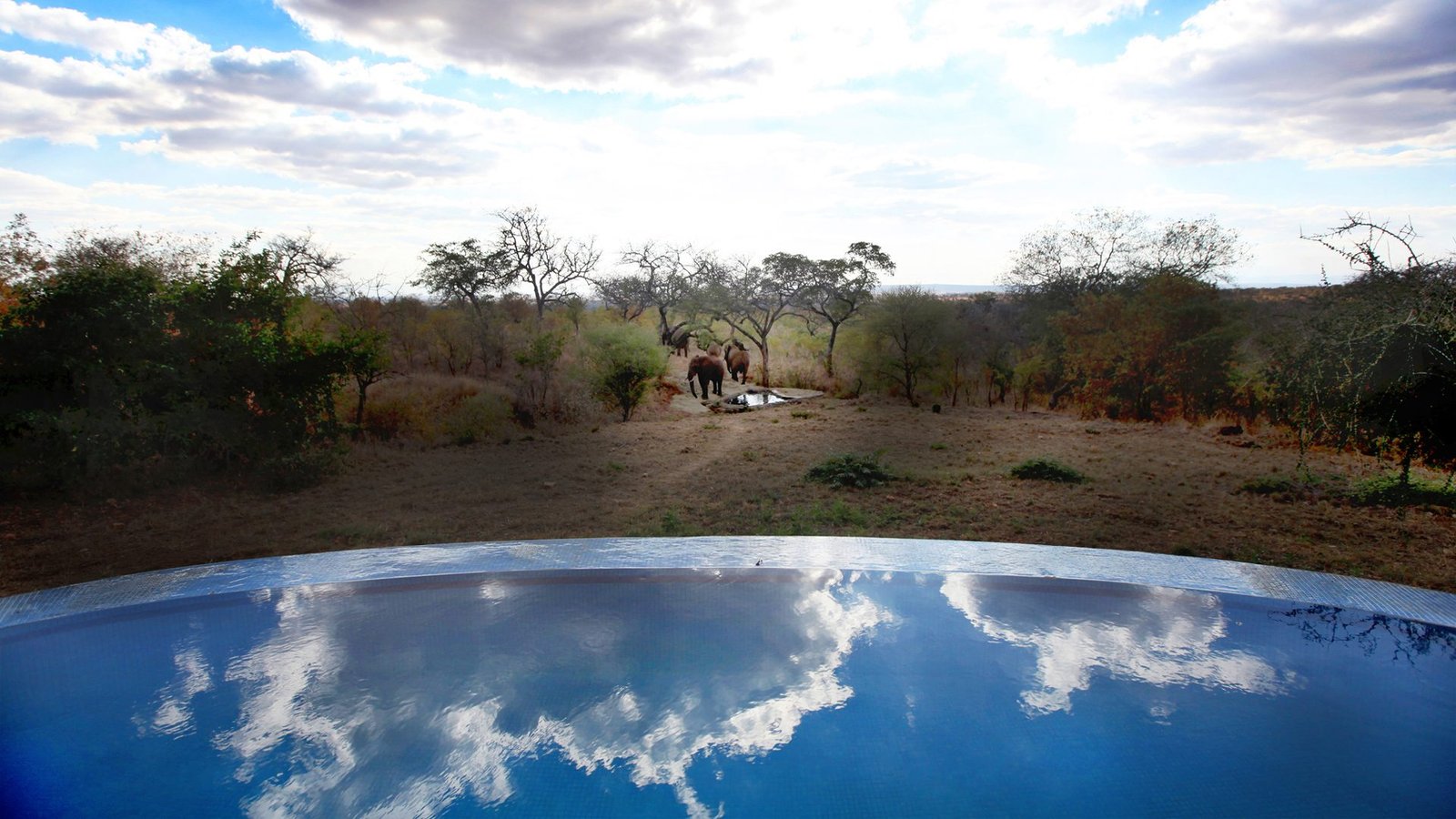 Tarangire Treetops by Elewana - view 5