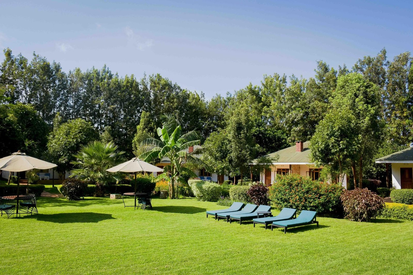 Mid‑Range Accommodation: Bougainvillea Safari Lodge - view 4