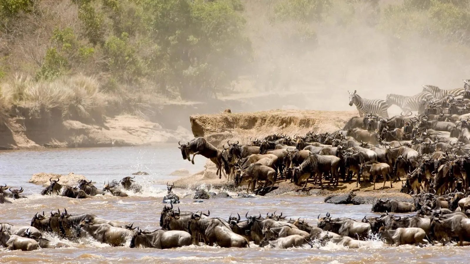 One Nature Mara - view 3