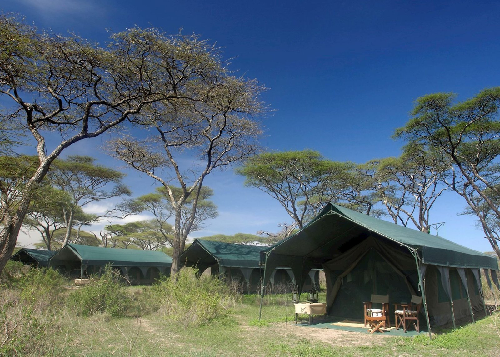 Kirurumu Tarangire Lodge