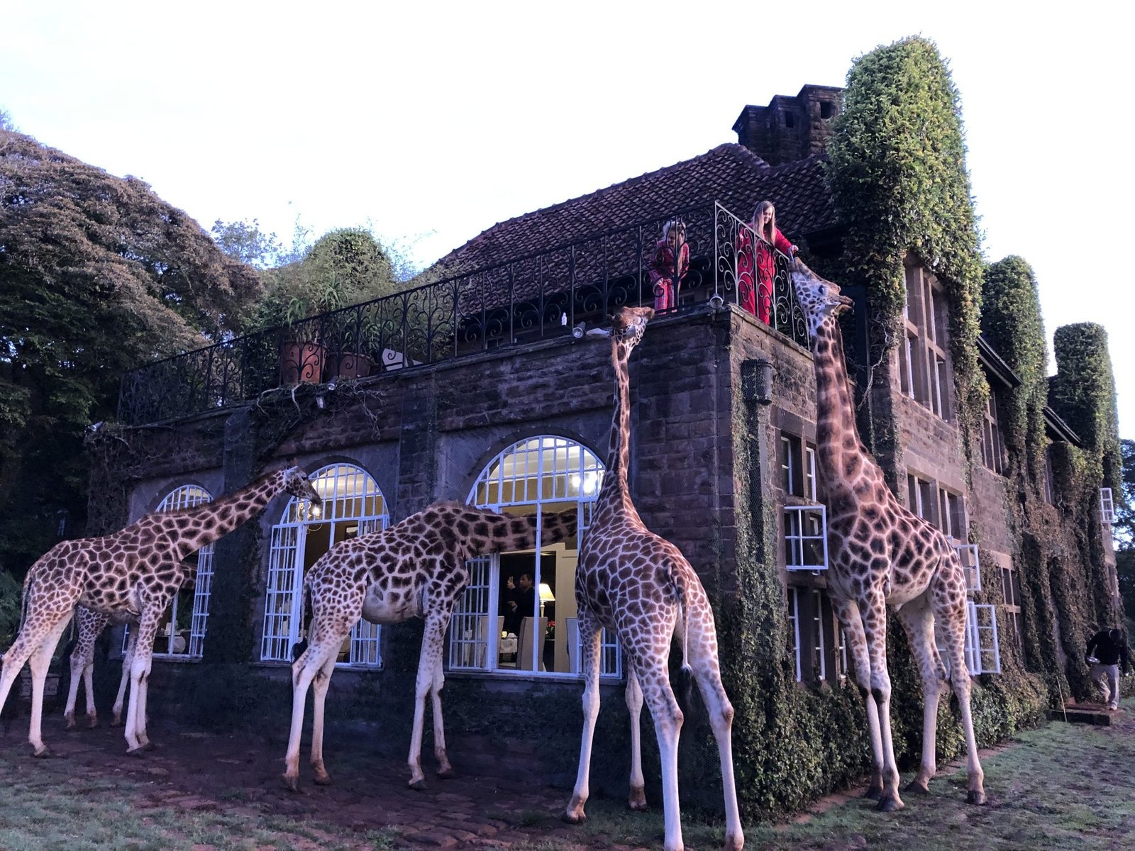 Giraffe Manor in Tansania