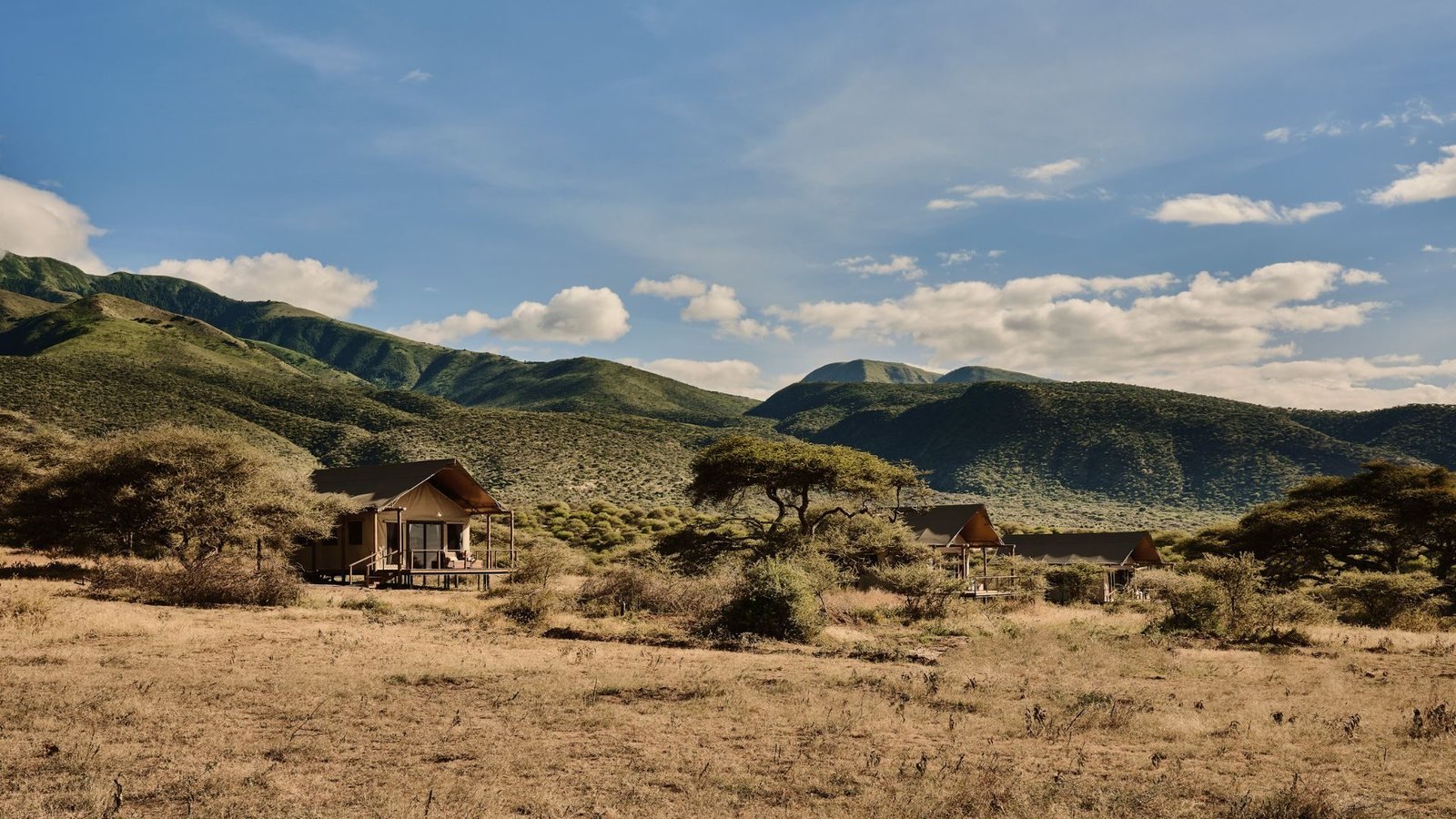 Crater Forest Tented Camp - view 5