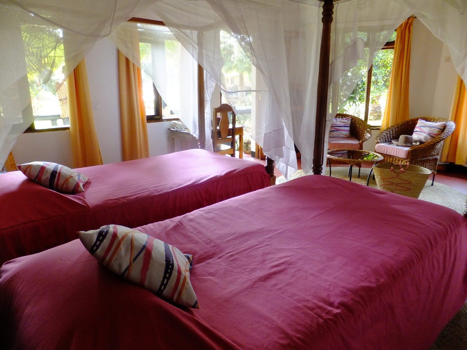 Mid‑Range Accommodation: Bougainvillea Safari Lodge - view 2