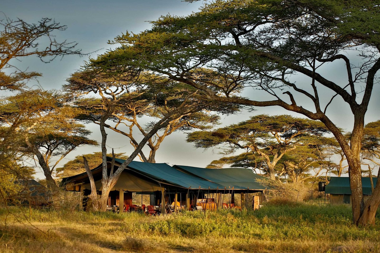 Nyikani Migration Camp - Mid-Range accommodation in Tanzania