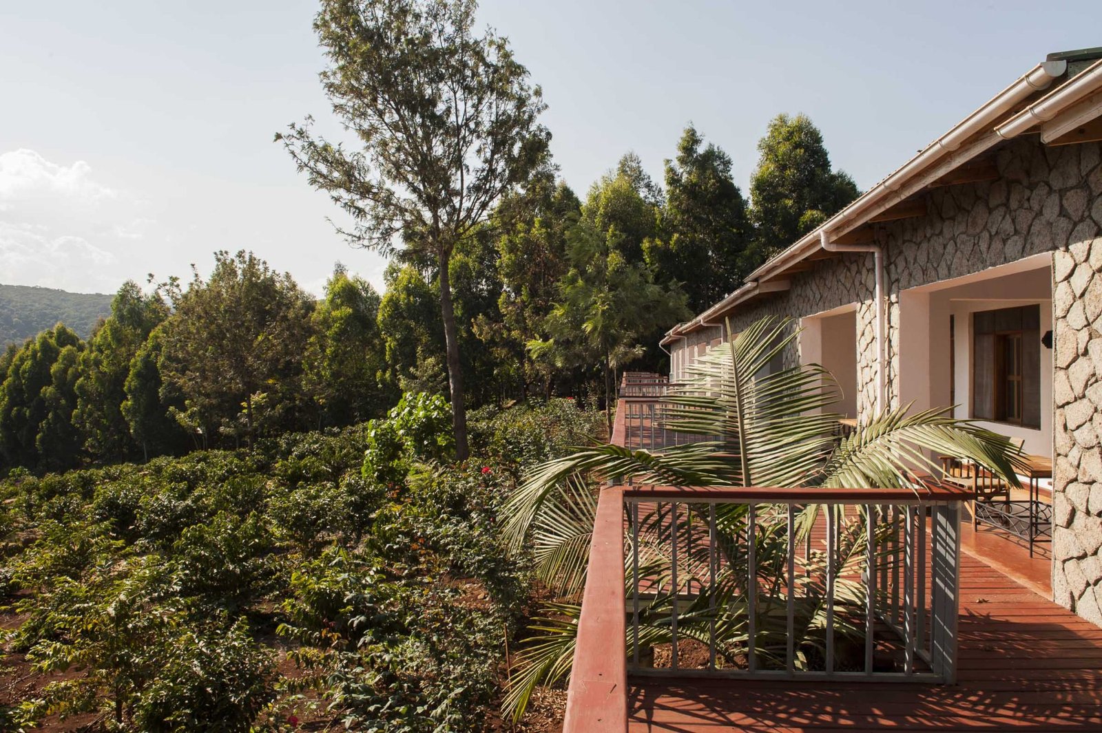 Tloma Lodge