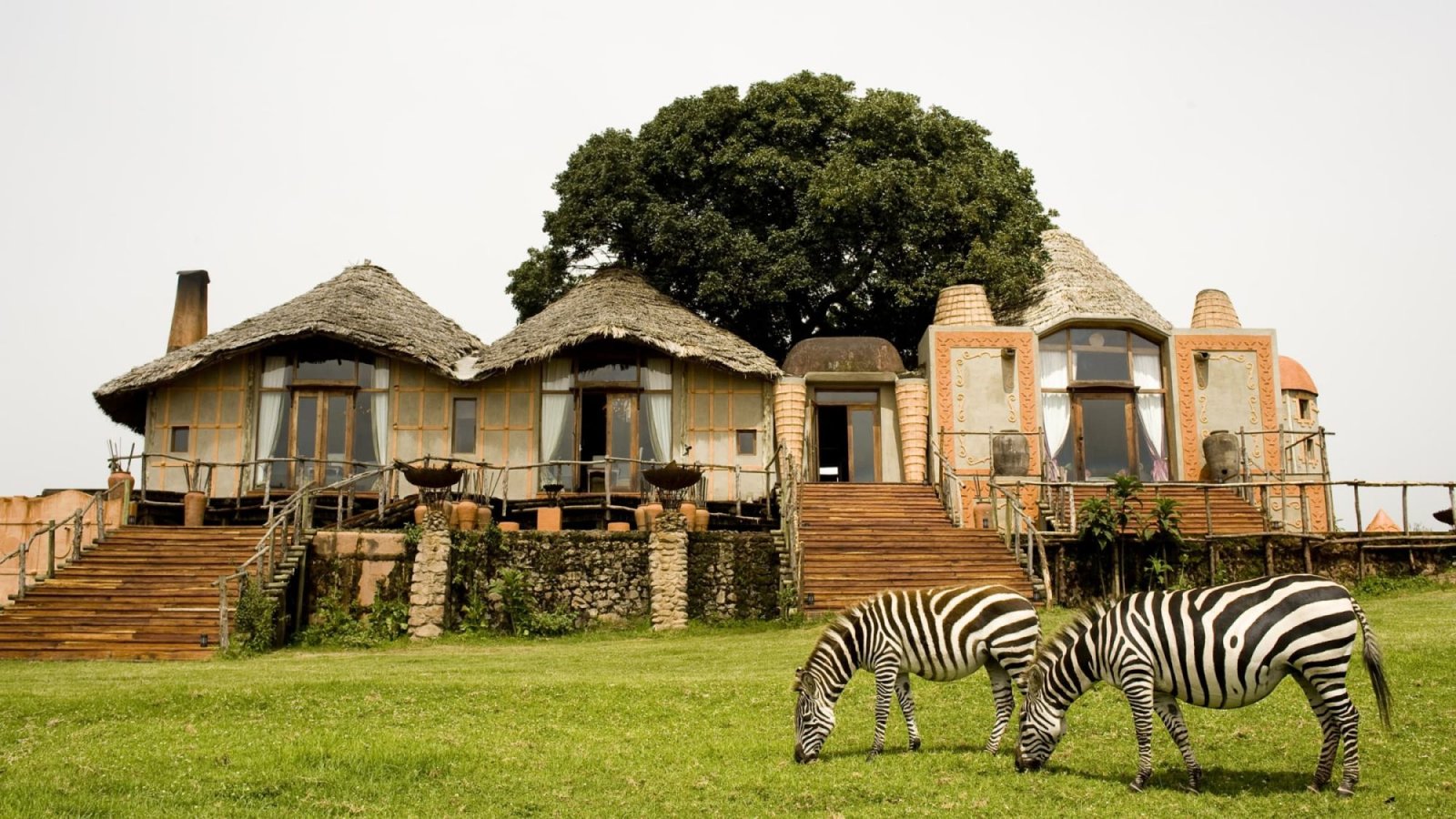 Ngorongoro Rhino Lodge