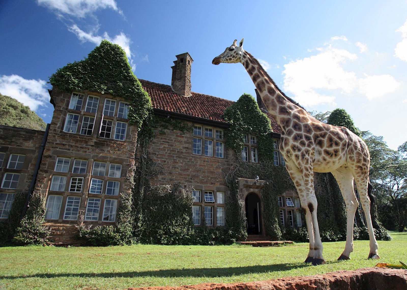 High-end Accommodation; Giraffe Manor Tanzania