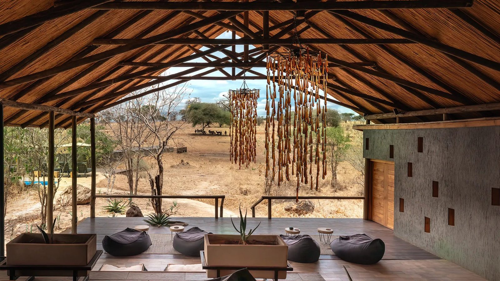 Nimali Tarangire - view 5