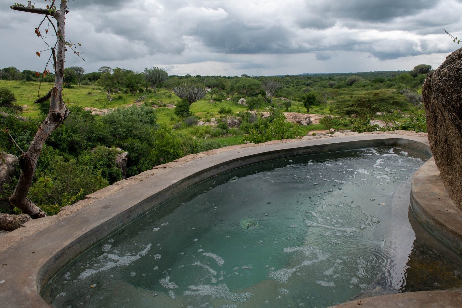 Mwiba Lodge - view 4