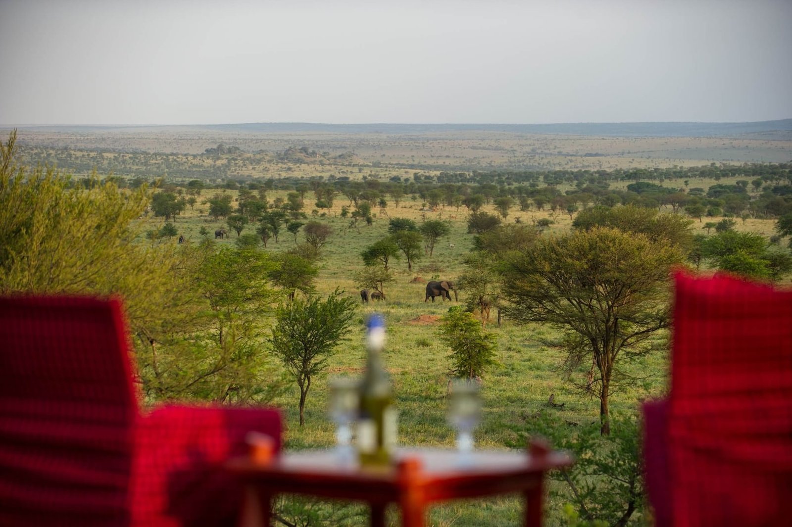 Mbuzi Mawe Serena Camp - view 5