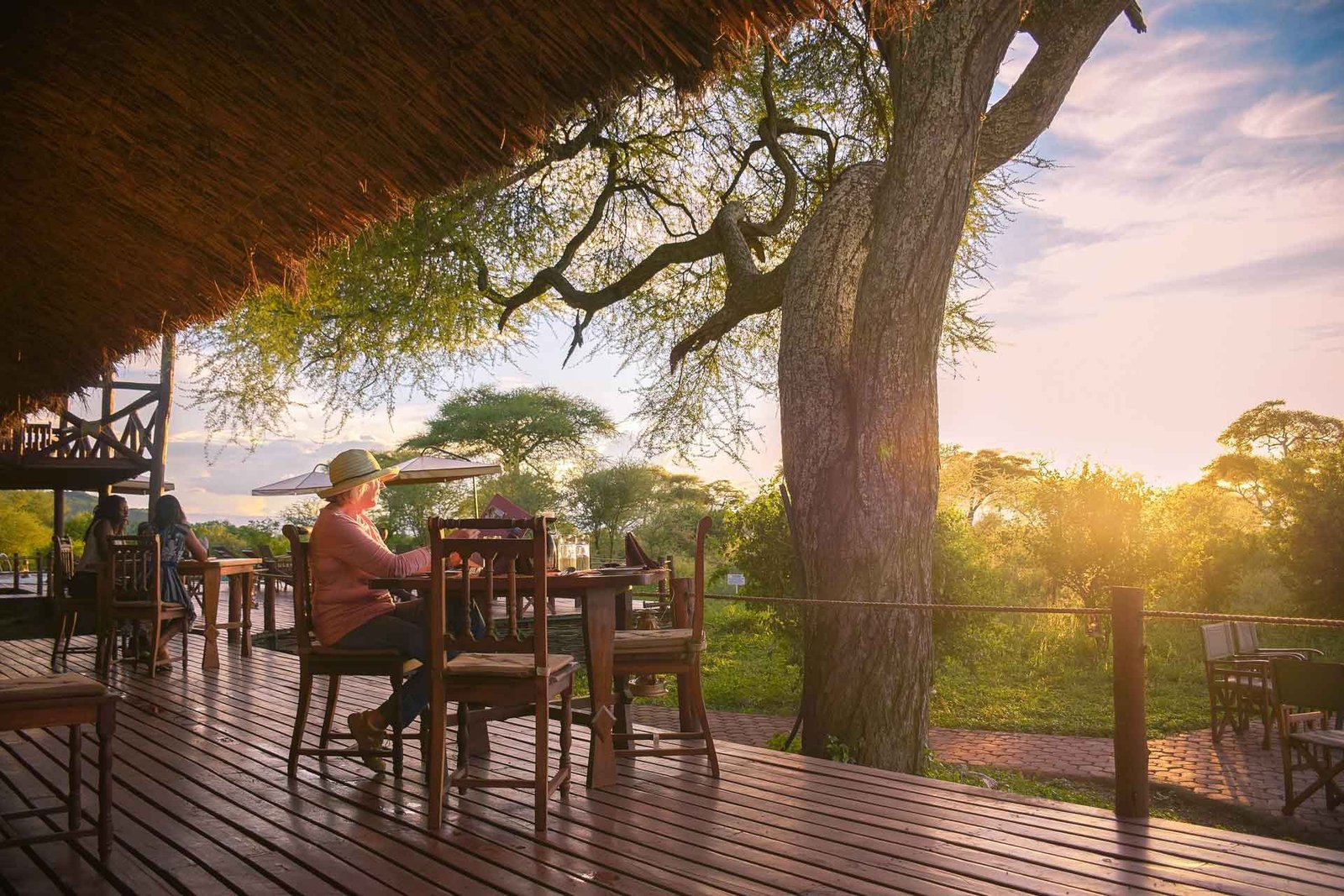 Tarangire Simba Lodge - view 2