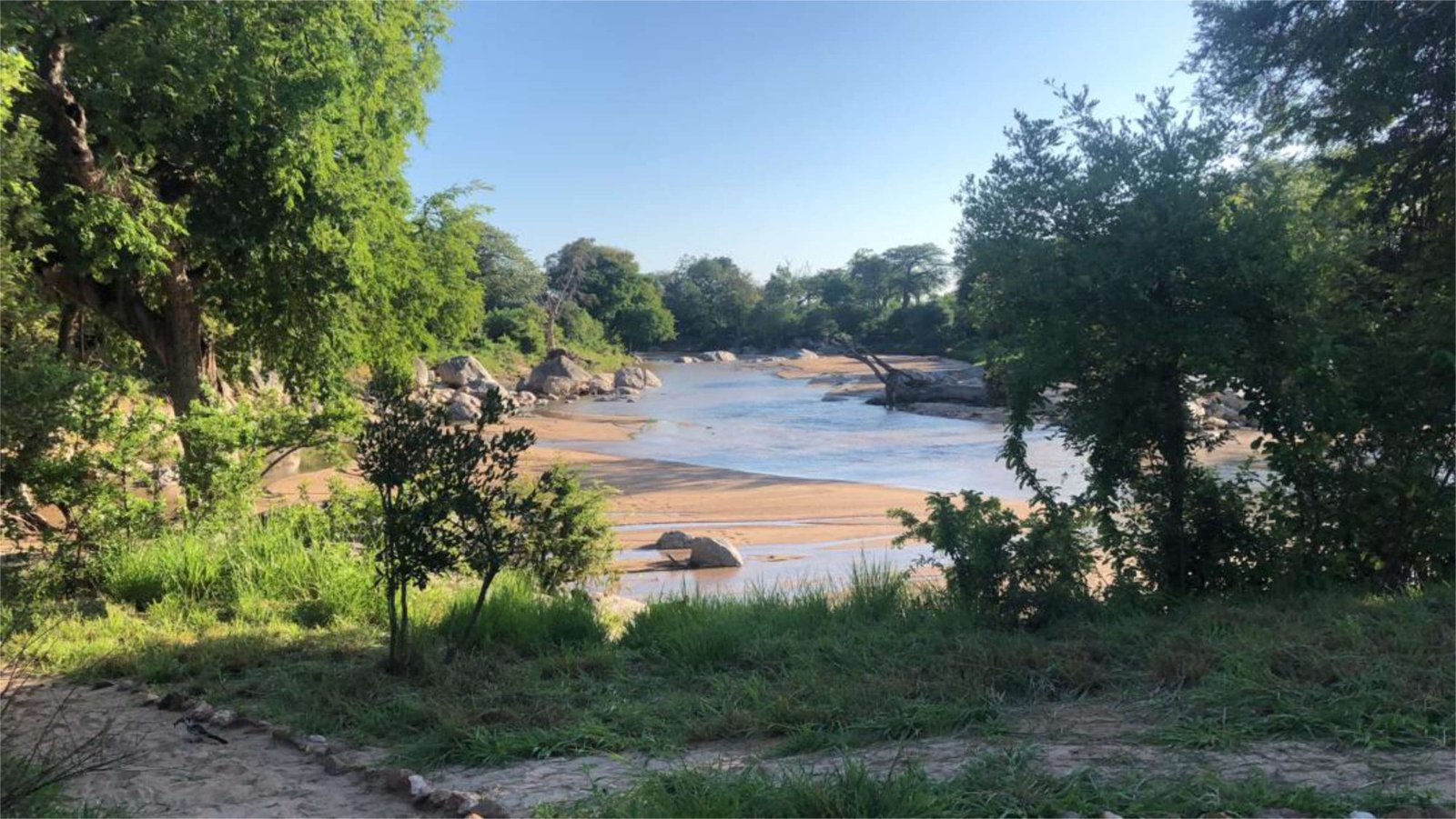 Mwagusi Safari Camp - view 3