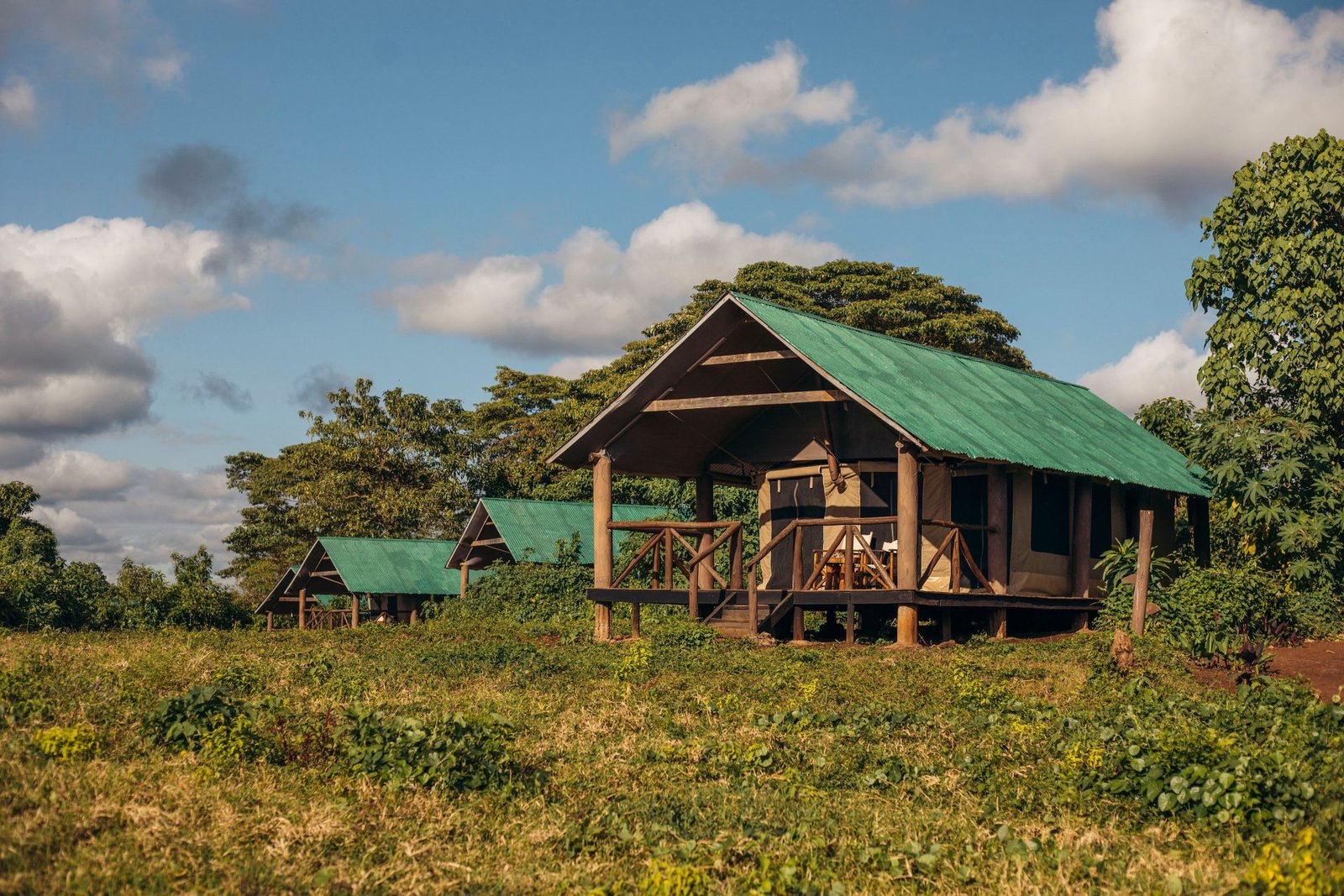 Crater Forest Tented Camp - view 3