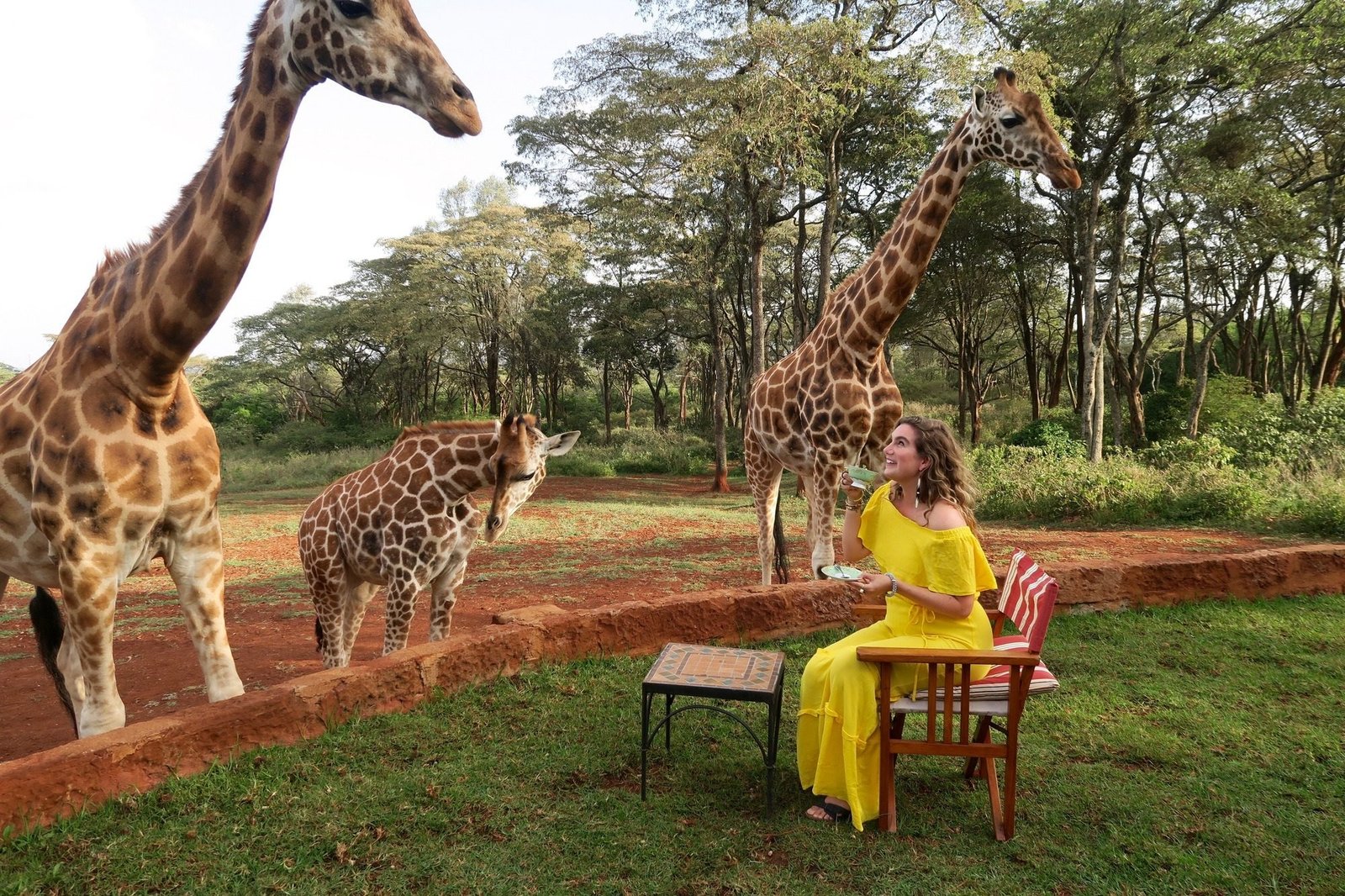 Giraffe Manor Tanzania - view 4