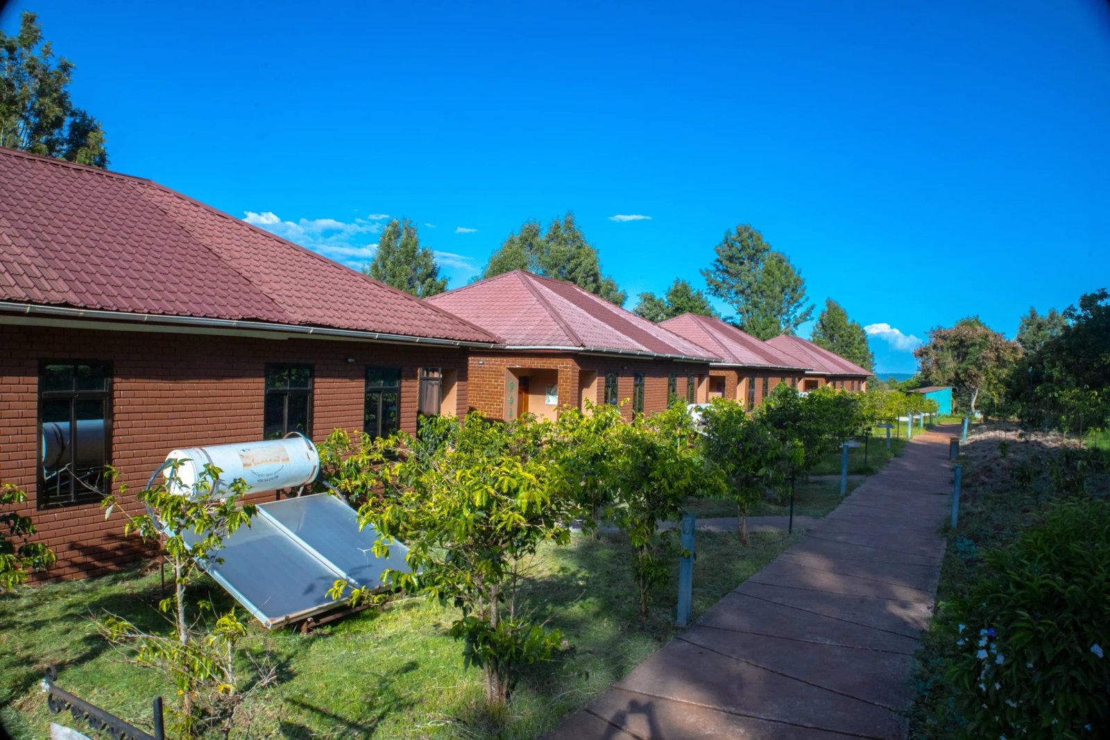 Ngorongoro coffee lodge