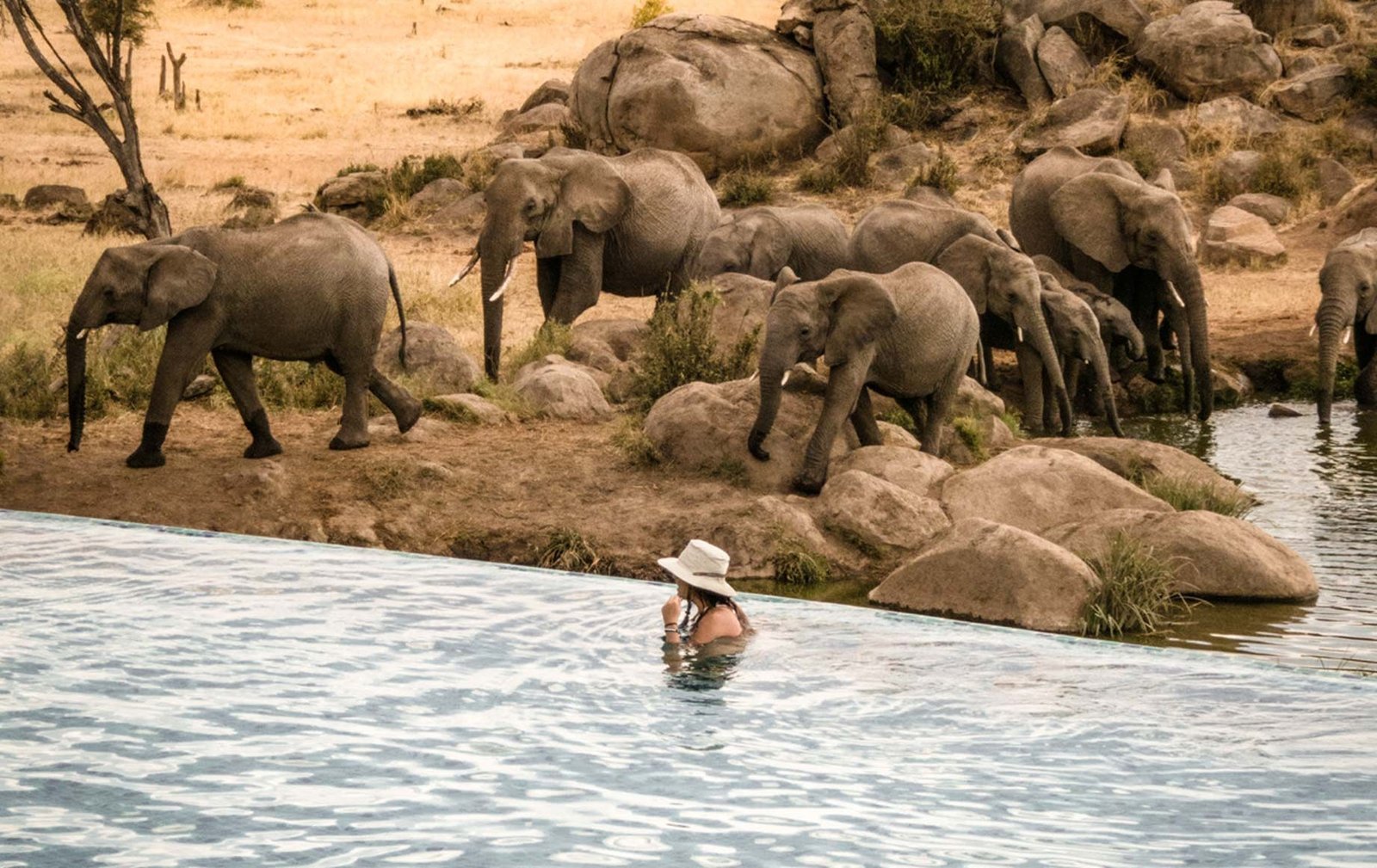 Four Seasons Safari Lodge Serengeti - view 5