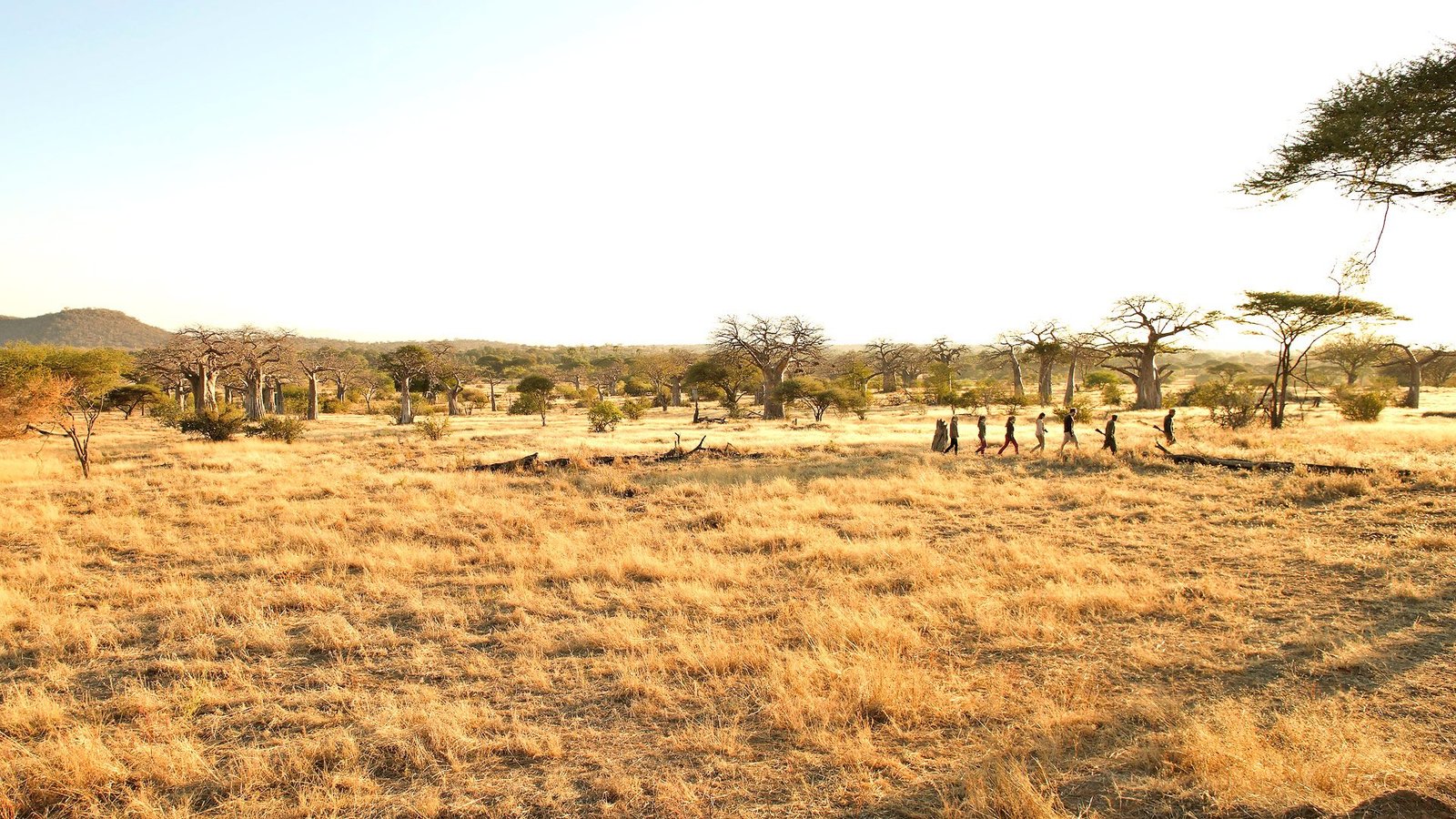 Kichaka - view 5