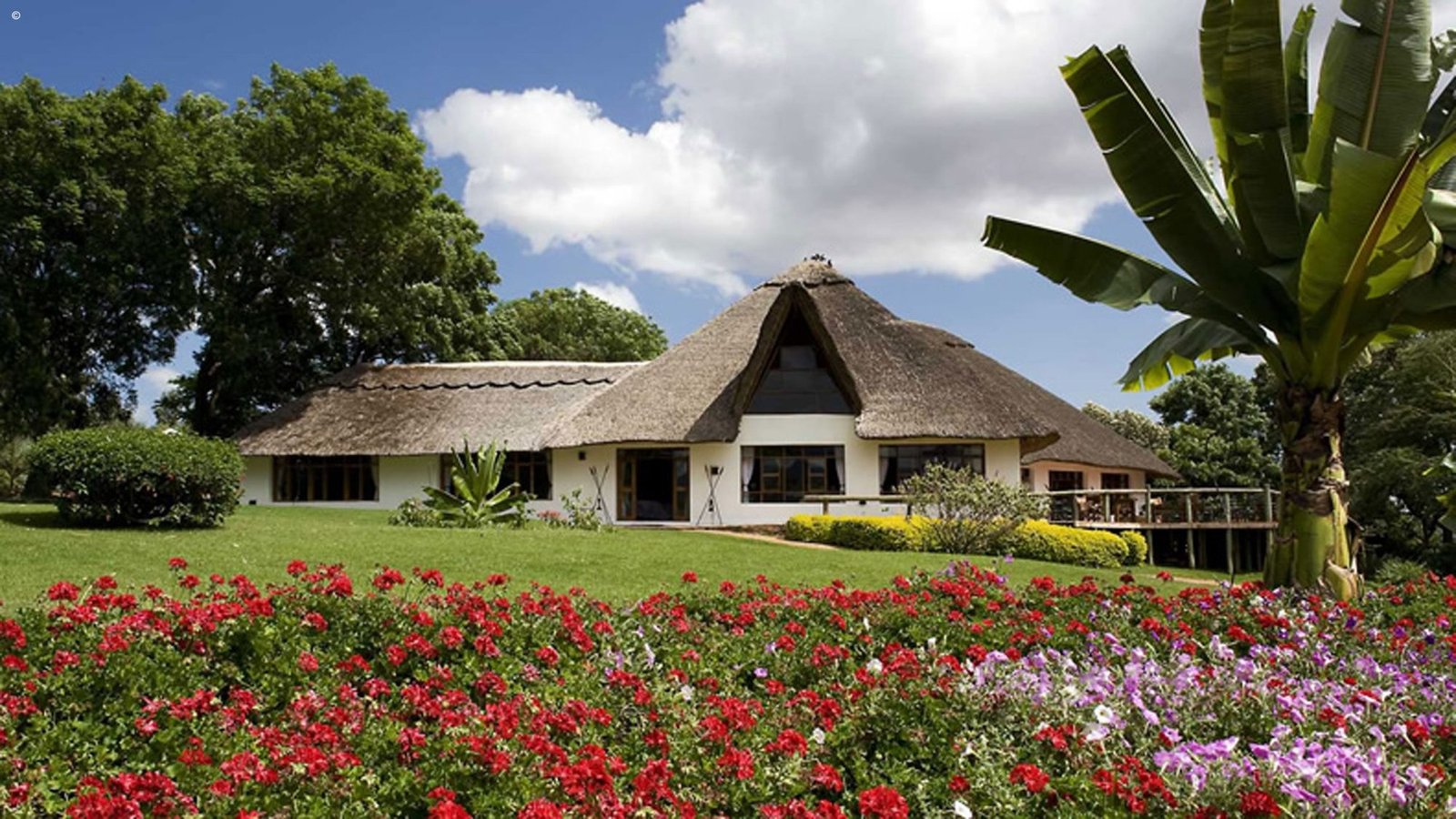 Ngorongoro Farm House - view 5