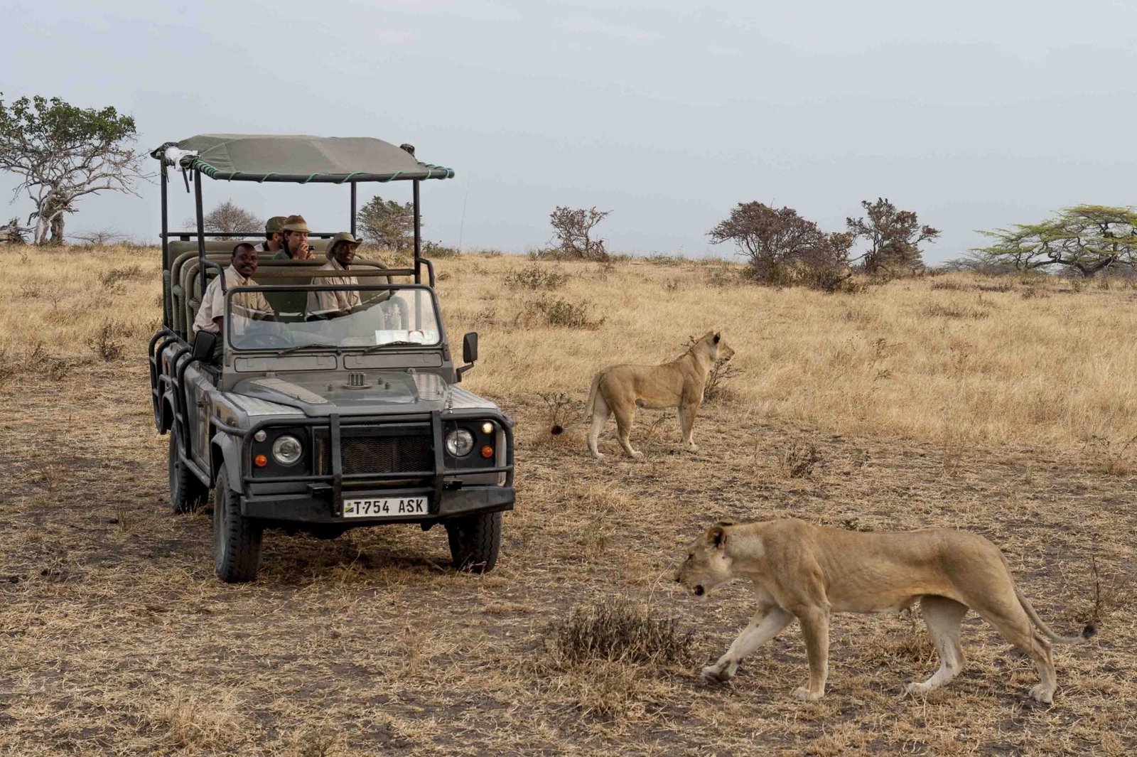 Lake Manze Camp - Mid-Range accommodation in Tanzania