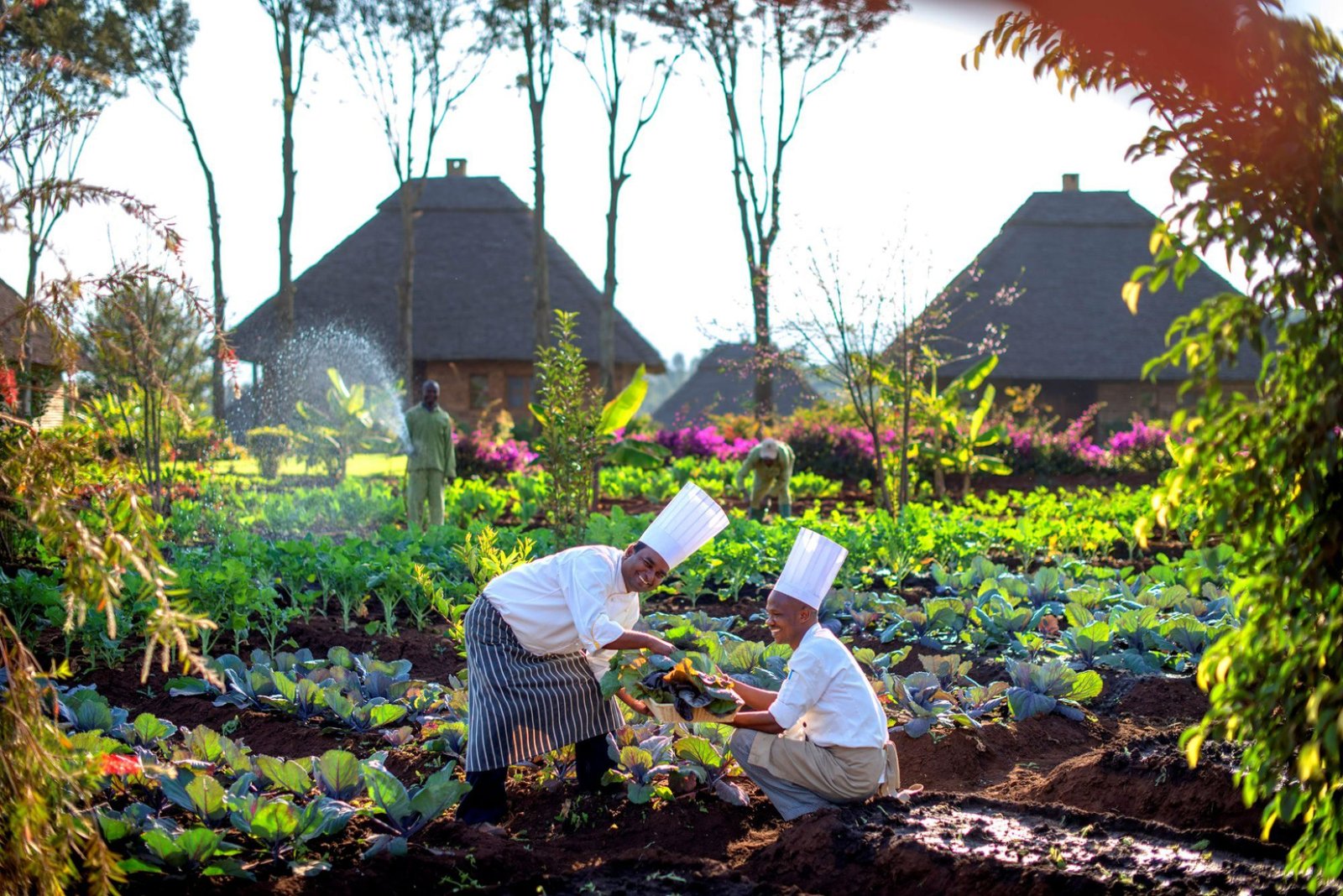 Neptune Ngorongoro Lodge - view 4
