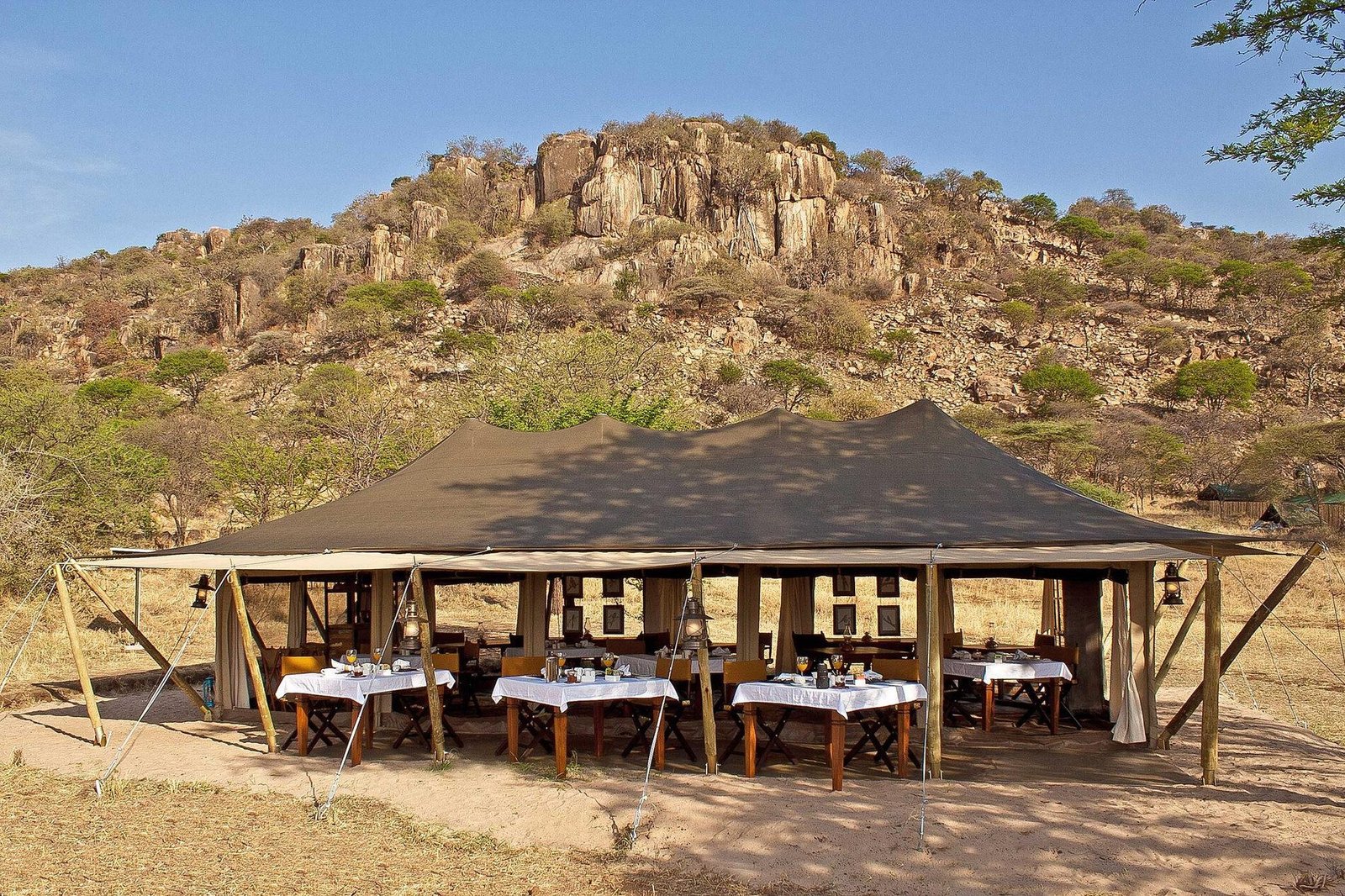 Serengeti Pioneer Camp - view 5